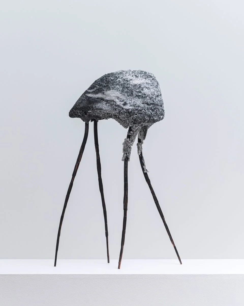 Object 5 from series Nature Милены Стрелковой